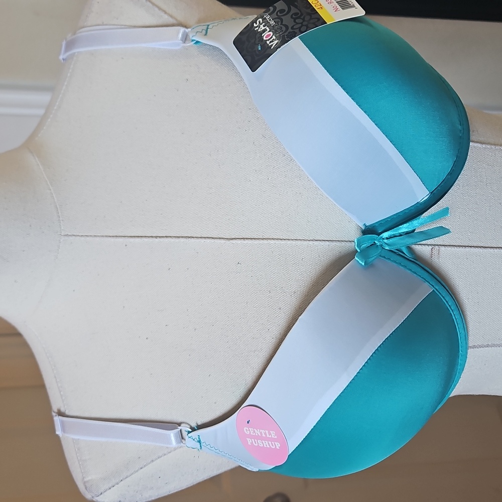 Viola's Secret Teal and White Gentle PushUp Bra Size 42C NWT